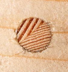 A wooden surface with a hole in the middle
