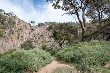 Tree national park