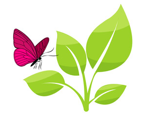 Vivid butterfly resting on vibrant green leaves in a simple vector illustration depicting nature s beauty and harmony