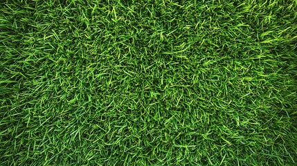 Vibrant Green Grass Texture: A Lush and Natural Background