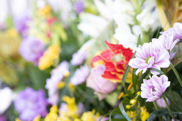 Obraz premium A close-up shot that highlights the beauty of a flower.