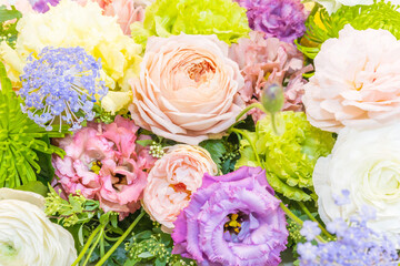 A close-up shot that highlights the beauty of a flower.