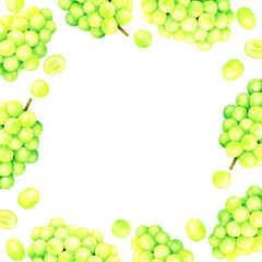 シャインマスカットの正方形フレーム　フルーツの手描き水彩イラスト背景素材