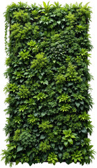 Fototapeta premium Lush Green Vertical Garden Wall Abundant Foliage Nature Background Eco Friendly Greenery