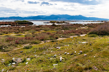 Garbage in meadow. Rubbish, trash left after picnic. Illegal garbage dump in nature. Dirty environment. 