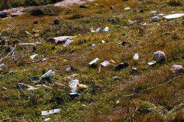 Garbage in meadow. Rubbish, trash left after picnic. Illegal garbage dump in nature. Dirty environment. 