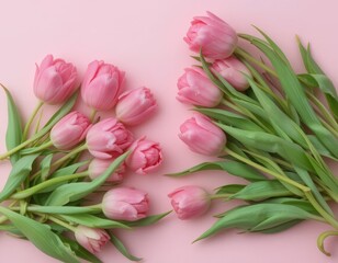 Fototapeta premium Pink Tulips Arranged in Heart Shape – Romantic Floral Composition