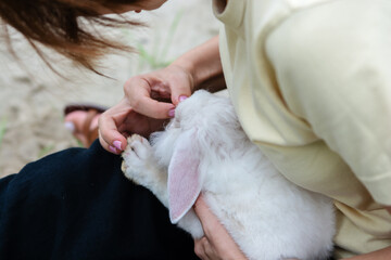 A woman is seen playing with a fluffy white rabbit with floppy ears outdoors, sharing a tender and...