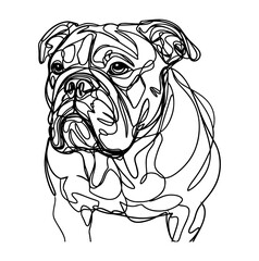 illustration of a  bulldog line art vector