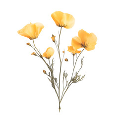 Fototapeta premium Elegant Yellow Poppies Botanical Floral Art Print Design Soft Gold Dark Plant Image Bloom 