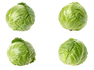 Fototapeta premium Cabbage set, Set of cabbages, and cabbages isolated