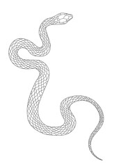 Snake outline illustration