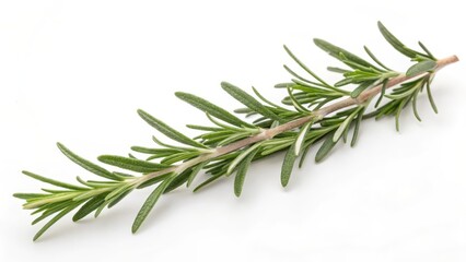 Rosemary Sprig on White Background