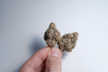 Alternative lifestyle, weed stuff for micro-dosing, medical recreational therapy. CBD cannabis buds on white studio background, close up. Man grower holds in his hand marijuana dried flowers
