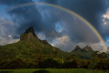 Tropical landscape of sugar cane field, mountain range, dramatic sky and rainbow in the sunset light. Mauritius paradise of Indian Ocean. Getaway and luxury travel concept.