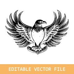 Flying eagle silhouette on a white background
