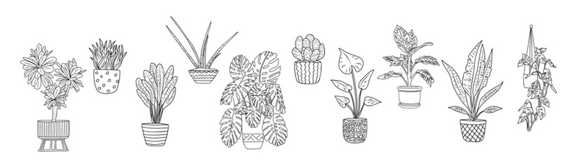 Set of Houseplants outline drawings. Indoor exotic flowers in pots line art. Monstera, strelitzia, cactus, snake plants for interior plans, design. Vector illustrations isolated