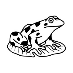 cute frog on lily pad vector illustration