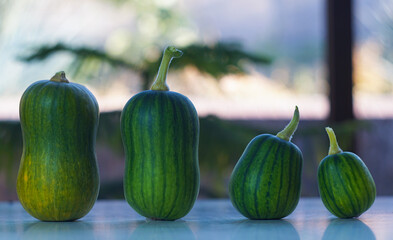 long, various caps stand in a row.