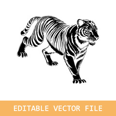 Tigers - wild animals, vector design of tigers