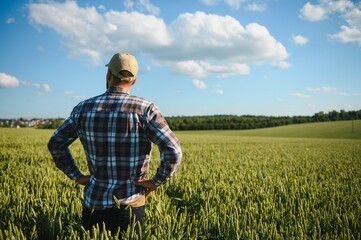 Fototapeta premium Young farmer walking in a green wheat field examining crop