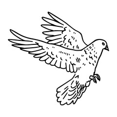 a black and white drawing of a cute pigeon cartoon illustration