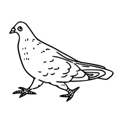 a black and white drawing of a cute pigeon cartoon illustration