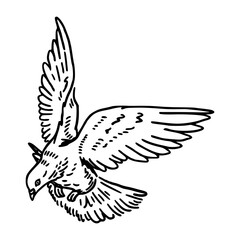 a black and white drawing of a cute pigeon cartoon illustration