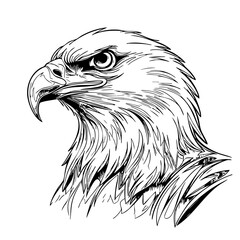 Eagle Head Illustration – Hand Drawn Black and White Raptor Line Art for Tattoo, Logo, Poster, or Patriotic Wildlife Design