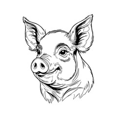 Smiling Pig Illustration – Hand Drawn Black and White Farm Animal Line Art for Logo, Tattoo, Children’s Book, or Educational Use