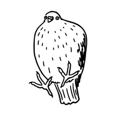 a black and white drawing of a cute pigeon cartoon illustration