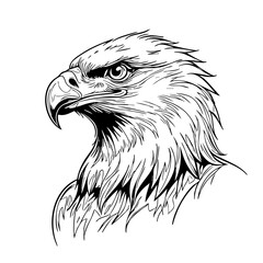 Eagle Side Portrait Illustration – Hand Drawn Black and White Raptor Line Art for Tattoo, Logo, Poster, or Wildlife Design

