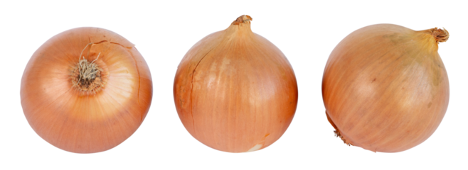 Oignons ronds jaunes	