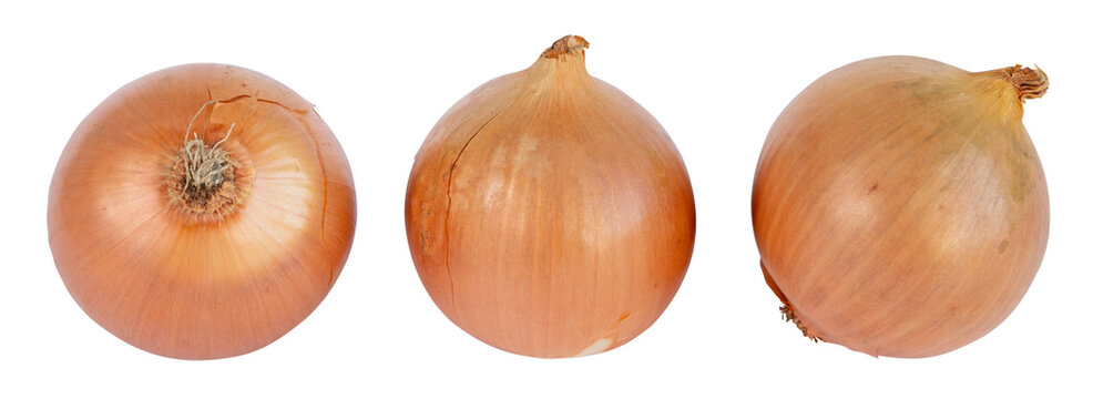 Oignons ronds jaunes	