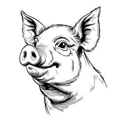 Pig Portrait Illustration – Hand Drawn Black and White Farm Animal Line Art with Smiling Expression for Tattoo, Logo, or Educational Use