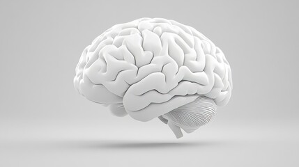 Glossy white 3D-rendered brain isolated on a gray background, ideal for futuristic or scientific visuals.
