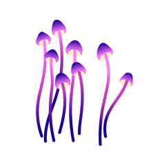 False honey mushrooms. Abstract trippy boletus, little hallucinogenic boletes, psychedelic fungi, psilocybin fungus. Toxic, poisonous plants. Flat isolated vector illustration on white background