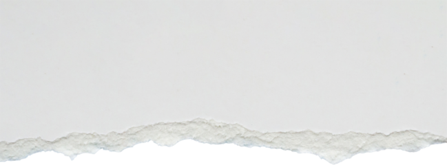 White ripped paper torn edges strips isolated on white background