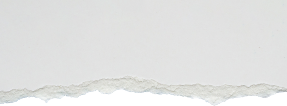White ripped paper torn edges strips isolated on white background