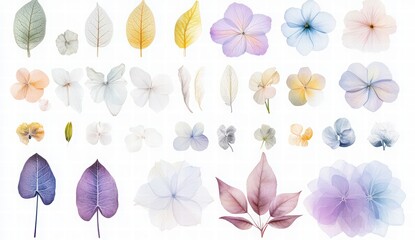 floral elements set with leaves and flowers. illustration of various types and sizes of leaves, flowers, and branches on a white background