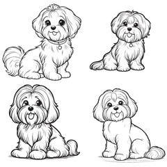 "High-Quality Cartoonic Havanese Sitting Pose Vector Illustrations Black Silhouette Isolated on White Background"