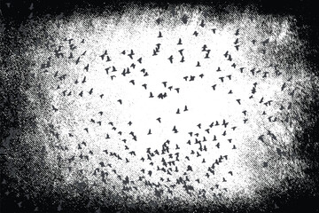 Silhouette of flying birds. Grunge texture. Gothic style black and white illustration