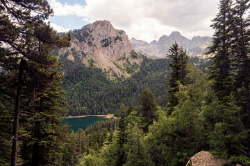 mountain range with a lake in the foreground, the trees are lush and green, and the sky is cloudy, scene is peaceful and serene, with the natural beauty of the landscape creating a sense of calm