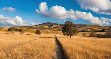 Fototapeta premium Golden grass fields stretching out under a vibrant blue sky with clouds, a nature pathway leading towards scenic rolling hills with scattered trees, capturing a peaceful and serene rural landscape