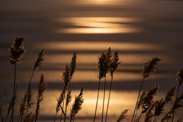 Tekstura lodu, zimowe geometryczne tło. © Elżbieta Kaps