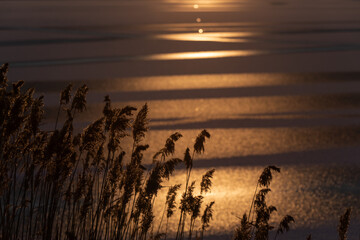 Tekstura lodu, zimowe geometryczne tło. © Elżbieta Kaps