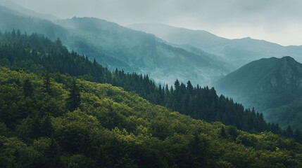 Fototapeta premium Misty mountain landscape with lush green forest.