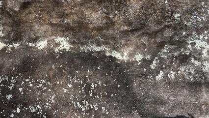 数百万年前の地層、地層の風景素材、岩肌の背景素材、半化石の表出する岩肌の風景