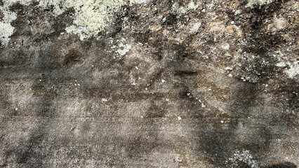 数百万年前の地層、地層の風景素材、岩肌の背景素材、半化石の表出する岩肌の風景