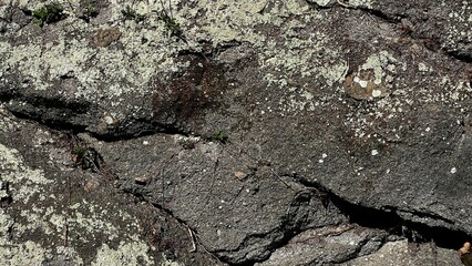 数百万年前の地層、地層の風景素材、岩肌の背景素材、半化石の表出する岩肌の風景